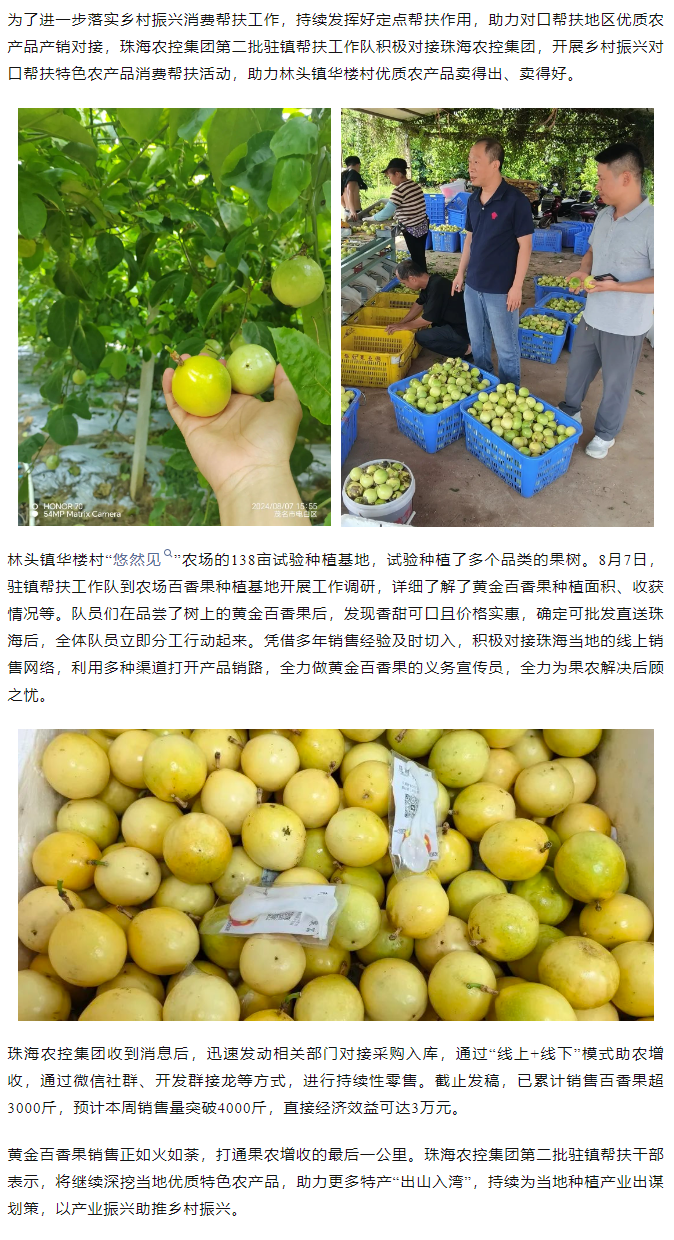 平博在线集团助力产销对接 对口帮扶果香飘百里.png